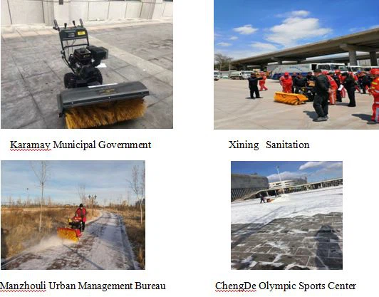 Snow Sweeper