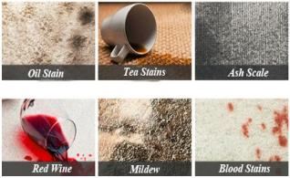 carpet cleaner