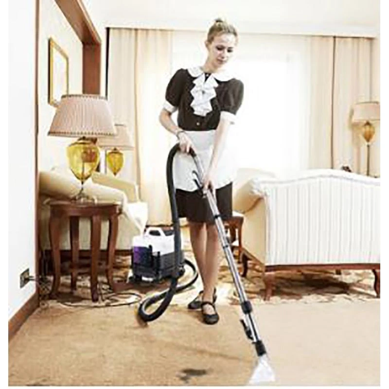 Carpet cleaner Carpet cleaner