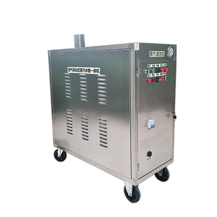 LPG Steam Car Wash Machine