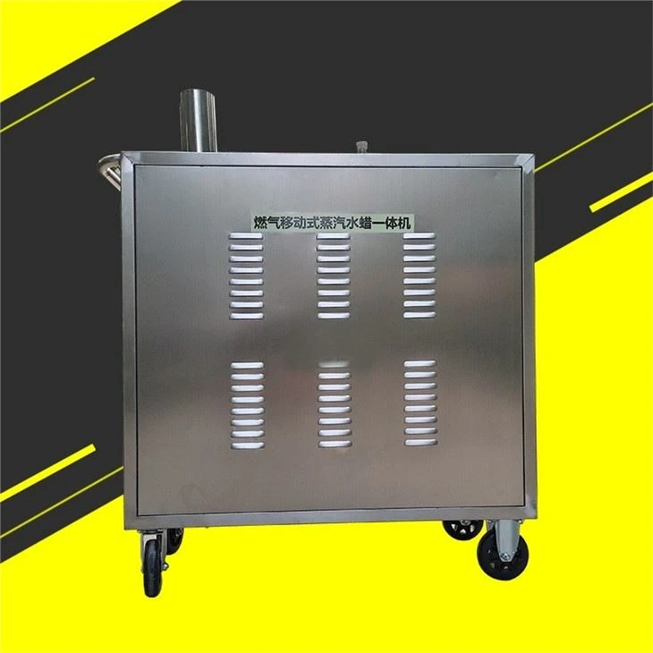 LPG Steam Car Wash Machine