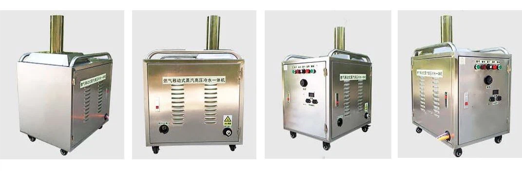 Mobile Steam Car Washer